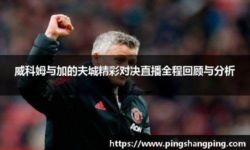威科姆与加的夫城精彩对决直播全程回顾与分析